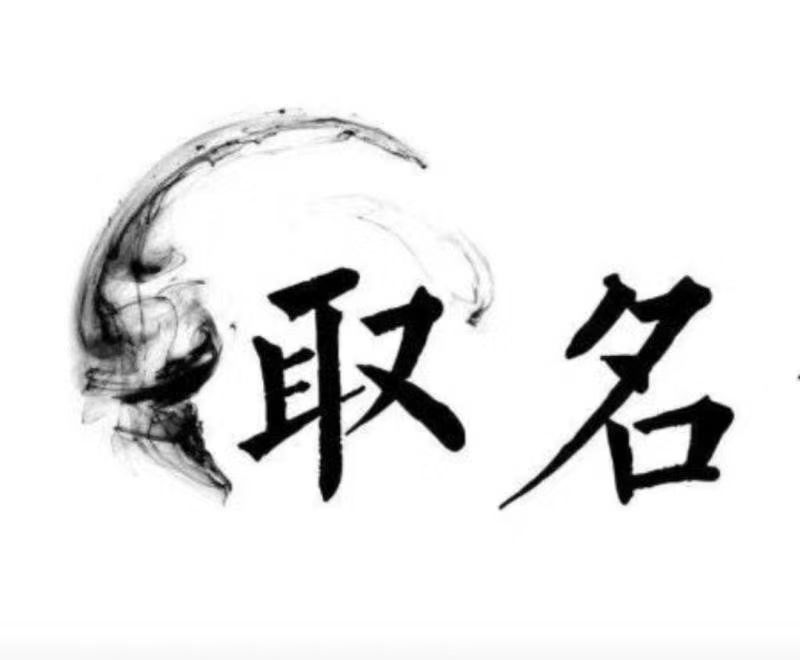  张家口宝宝取名 大师一对一人工起名